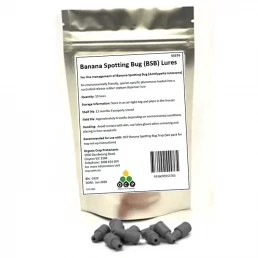 Banana Spotting Bug Lure - 10 Pack