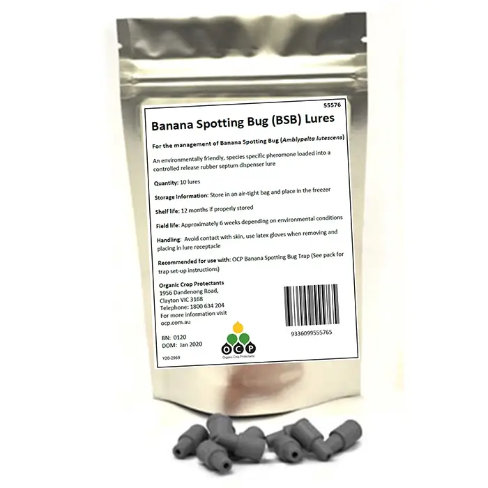 https://staging.ocp.com.au/wp-content/uploads/2023/09/BSB-Lure.webp