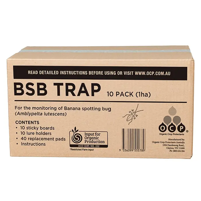 https://staging.ocp.com.au/wp-content/uploads/2023/09/BSB-Trap-10-Pack-Box.webp