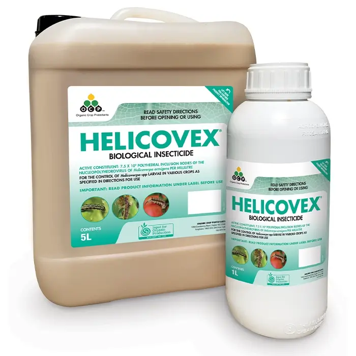 https://staging.ocp.com.au/wp-content/uploads/2023/09/Helicovex-group-render.webp