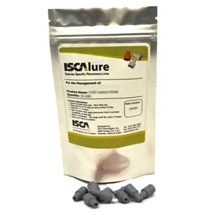 https://staging.ocp.com.au/wp-content/uploads/2023/09/isca-lure-pack.webp